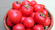 くまもとの赤・塩トマト